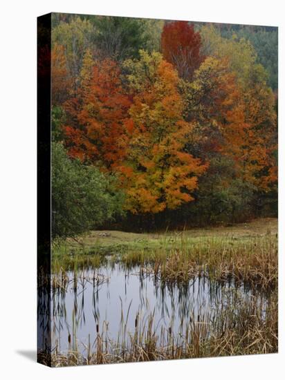 Forest and Pond in Autumn, North Landgrove, Vermont, USA-Scott T^ Smith-Stretched Canvas