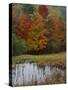 Forest and Pond in Autumn, North Landgrove, Vermont, USA-Scott T^ Smith-Stretched Canvas