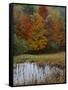 Forest and Pond in Autumn, North Landgrove, Vermont, USA-Scott T^ Smith-Framed Stretched Canvas