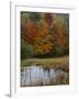 Forest and Pond in Autumn, North Landgrove, Vermont, USA-Scott T^ Smith-Framed Photographic Print