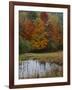 Forest and Pond in Autumn, North Landgrove, Vermont, USA-Scott T^ Smith-Framed Photographic Print