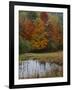 Forest and Pond in Autumn, North Landgrove, Vermont, USA-Scott T^ Smith-Framed Photographic Print