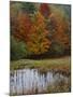 Forest and Pond in Autumn, North Landgrove, Vermont, USA-Scott T^ Smith-Mounted Photographic Print