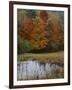 Forest and Pond in Autumn, North Landgrove, Vermont, USA-Scott T^ Smith-Framed Photographic Print