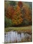 Forest and Pond in Autumn, North Landgrove, Vermont, USA-Scott T^ Smith-Mounted Photographic Print