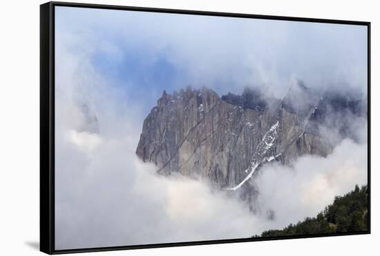 Forest and the rugged mountains in the Torres del Paine National Park, Patagonia, Chile, South Amer-Alex Robinson-Framed Stretched Canvas