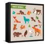 Forest Animals Vector Set of Icons and Illustrations-Marish-Framed Stretched Canvas
