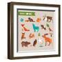 Forest Animals Vector Set of Icons and Illustrations-Marish-Framed Art Print