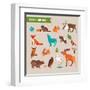 Forest Animals Vector Set of Icons and Illustrations-Marish-Framed Art Print