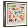 Forest Animals Vector Set of Icons and Illustrations-Marish-Framed Art Print