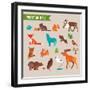 Forest Animals Vector Set of Icons and Illustrations-Marish-Framed Art Print