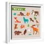 Forest Animals Vector Set of Icons and Illustrations-Marish-Framed Art Print