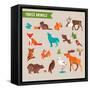 Forest Animals Vector Set of Icons and Illustrations-Marish-Framed Stretched Canvas