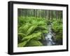 Forest at Krimml, Gerlos Pass, Pinzgau, Salzburg, Austria-Rainer Mirau-Framed Photographic Print