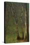 Forest at Pont Aubert-Georges Seurat-Stretched Canvas