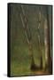 Forest at Pont Aubert-Georges Seurat-Framed Stretched Canvas