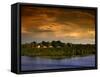 Forest at Sunset, Brazil-Wayne Walton-Framed Stretched Canvas