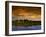 Forest at Sunset, Brazil-Wayne Walton-Framed Premium Photographic Print