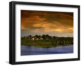 Forest at Sunset, Brazil-Wayne Walton-Framed Premium Photographic Print