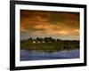 Forest at Sunset, Brazil-Wayne Walton-Framed Photographic Print