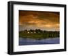 Forest at Sunset, Brazil-Wayne Walton-Framed Photographic Print