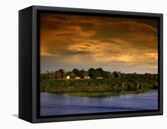 Forest at Sunset, Brazil-Wayne Walton-Framed Stretched Canvas