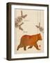 Forest Bear-Z Studio-Framed Art Print