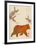 Forest Bear-Z Studio-Framed Art Print