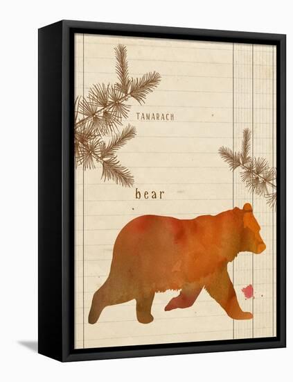 Forest Bear-Z Studio-Framed Stretched Canvas