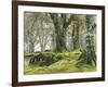 Forest, Beech Trees, Forest Soil, Moss, Autumn-Thonig-Framed Photographic Print