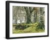 Forest, Beech Trees, Forest Soil, Moss, Autumn-Thonig-Framed Photographic Print