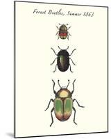 Forest Beetles-Maria Mendez-Mounted Giclee Print