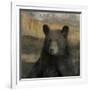 Forest Black Bear-Carol Robinson-Framed Art Print