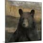 Forest Black Bear-Carol Robinson-Mounted Art Print