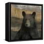 Forest Black Bear-Carol Robinson-Framed Stretched Canvas