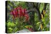 Forest Blooms, Asa Wright Natural Area, Trinidad-Ken Archer-Stretched Canvas