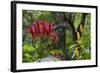 Forest Blooms, Asa Wright Natural Area, Trinidad-Ken Archer-Framed Photographic Print