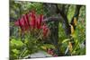 Forest Blooms, Asa Wright Natural Area, Trinidad-Ken Archer-Mounted Photographic Print