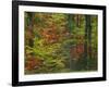 Forest, Blue Ridge Parkway, Virginia, USA-Charles Gurche-Framed Photographic Print