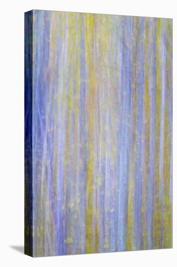 Forest Blur I-Kathy Mahan-Stretched Canvas