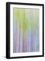 Forest Blur II-Kathy Mahan-Framed Photographic Print