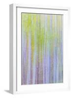 Forest Blur II-Kathy Mahan-Framed Photographic Print