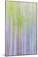 Forest Blur II-Kathy Mahan-Mounted Photographic Print