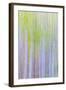 Forest Blur II-Kathy Mahan-Framed Photographic Print