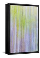 Forest Blur II-Kathy Mahan-Framed Stretched Canvas