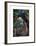 Forest, British Columbia-Emily Carr-Framed Premium Giclee Print