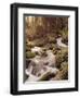 Forest, Brook, Headwaters-Thonig-Framed Premium Photographic Print