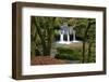 Forest brook, Schiessendumpel, Mullerthal, Luxembourg, Europe-Hans-Peter Merten-Framed Photographic Print