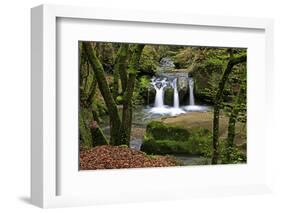 Forest brook, Schiessendumpel, Mullerthal, Luxembourg, Europe-Hans-Peter Merten-Framed Photographic Print