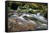 Forest brook, Schiessendumpel, Mullerthal, Luxembourg, Europe-Hans-Peter Merten-Framed Stretched Canvas